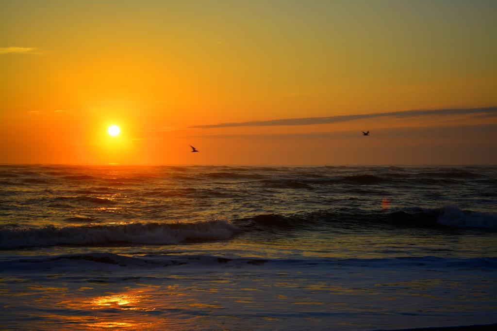 The Saint Augustine Beach House Екстериор снимка