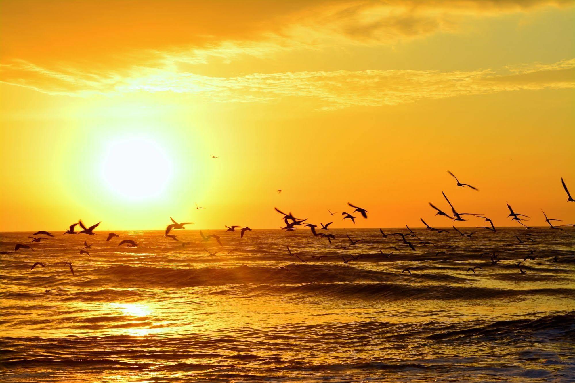 The Saint Augustine Beach House Екстериор снимка